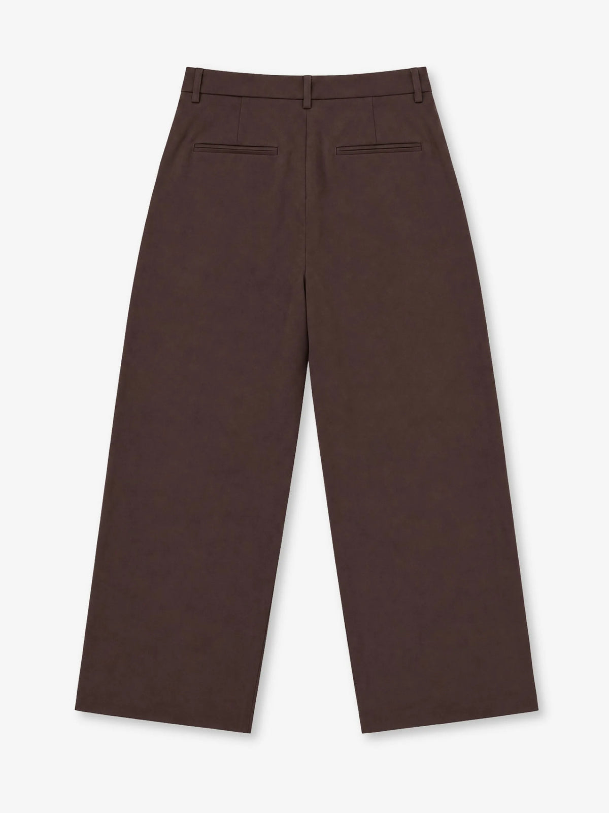 Double-Pleated Trousers Anima Studios in tessuto misto lana marrone, vestibilità ampia, retro