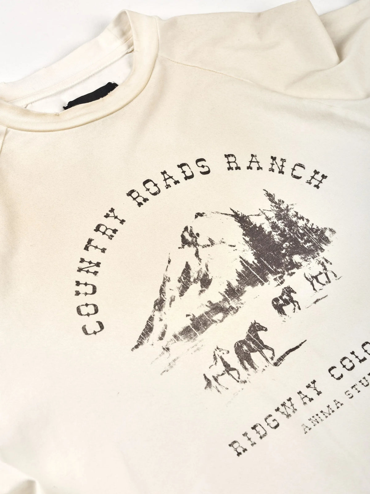 Country Roads Longsleeve Anima Studios, dettaglio della stampa Country Roads Ranch